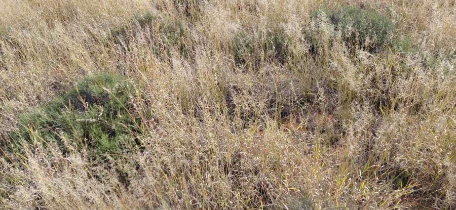Commercial Property for Sale in Jacobsdal Rural Free State
